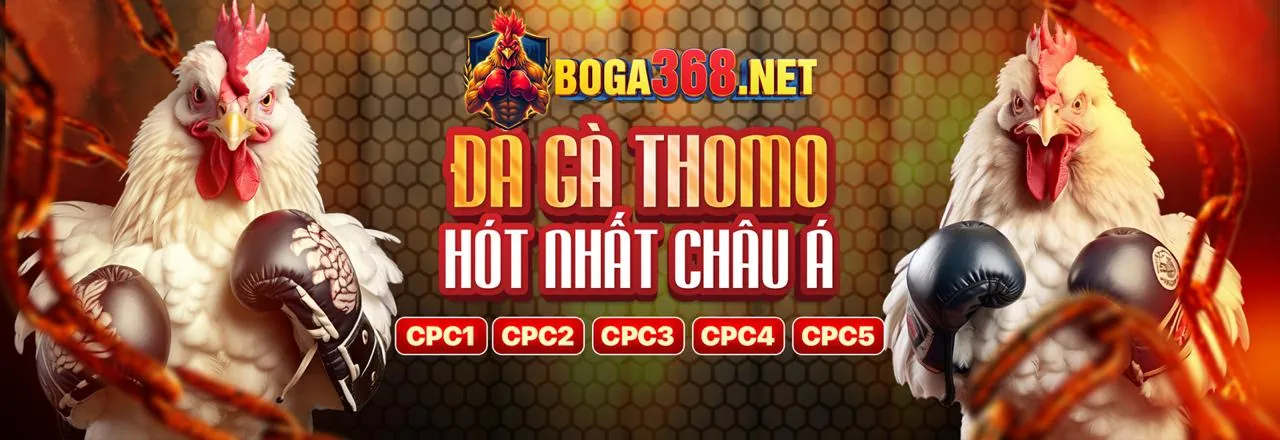 Sân đá gà trực tuyến kịch tính tại 888b Nổ Hũ