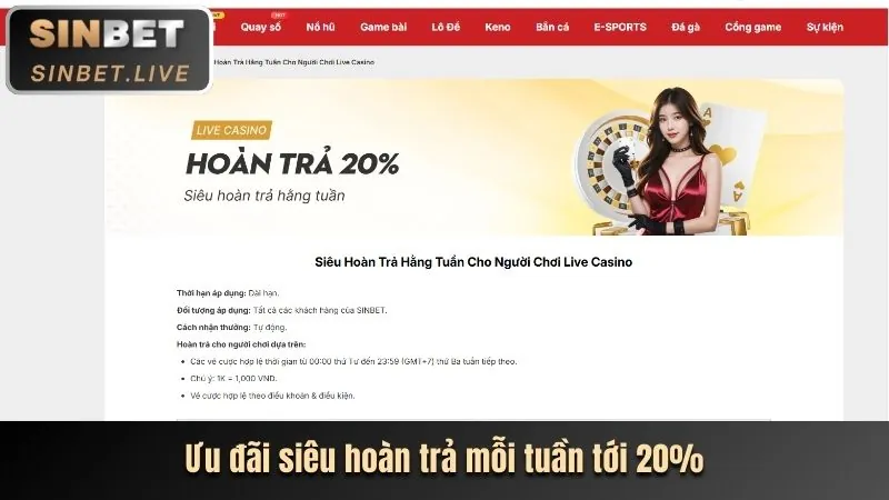 Biểu đồ thể hiện các loại thông tin thu thập
